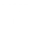 Caduceus
