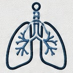 lungs